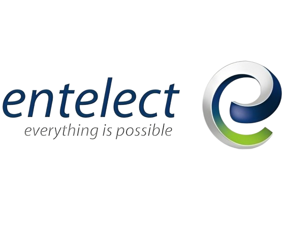 Entelect